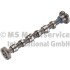 CAMSHAFT AUDI / VW KOLBENSCHMIDT 50007003 (фото 1)