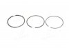 Кольца поршневые на 1 цилиндр audi/vw 1,6-2,2 KOLBENSCHMIDT 800000911000 (фото 1)