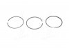 Кольца поршневые (к-кт 3 шт), 1.8 i 97-02 std KOLBENSCHMIDT 80 00034 1 1 000 (фото 1)