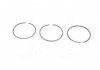 Кольца поршневые на 1 цилиндр daf/ford/peugeot/ssangyong 2,3d/2,5d KOLBENSCHMIDT 800004110000 (фото 1)