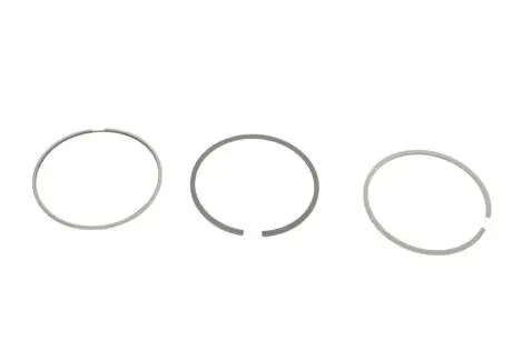 Кольца поршневые std (на 1цил.) KOLBENSCHMIDT 800115310000