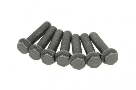 Болти маховика (к-кт 7 шт) Iveco Daily 2.3/3.0D 99- LuK 411 0186 10 (504027865) (фото 1)