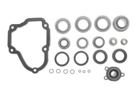 Ремкомплект кпп LuK 462 0156 10