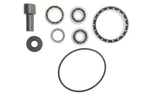 Ремкомплект КПП Dacia Logan/Sandero 1.4 04- (JH1.053) (5 ступ. мкпп) LuK 462 0399 10