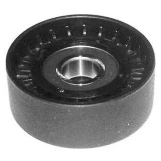 Ролик модуля натягувача ременя MAGNETI MARELLI MPQ0149