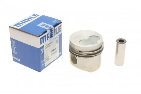 Поршень MAHLE ORIGINAL 0295500