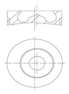 Поршень (BF4/BF6M1013EC/FC) Euro 2/3 MAHLE ORIGINAL 101 93 00 (фото 1)