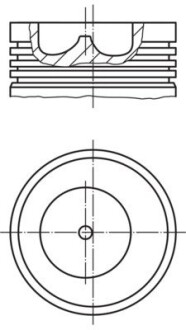 Поршень (BF4/BF6M1013) Euro 2 MAHLE ORIGINAL 101 99 00 (фото 1)