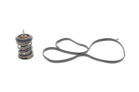 Термостат VW Caddy IV 1.0/1.2 TSI 15-20 MOTORAD 973-97K