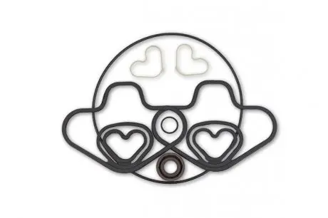 Ремкомплект насоса гур с электроприводом audi a1 (8x1) 10-,a1 sportback (8xa) 11-,a2 (8z0) 00-05 MSG SK8101KIT