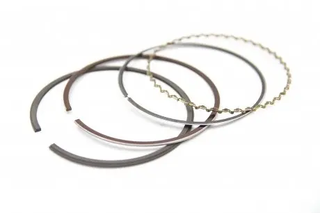 Кольца поршневые std (на 1цил.) NPR 120020000900