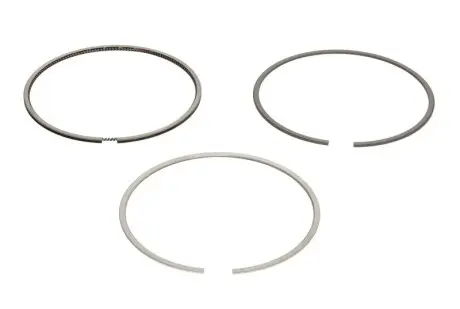 Кольца поршневые std (на 1цил.) NPR 120037006800