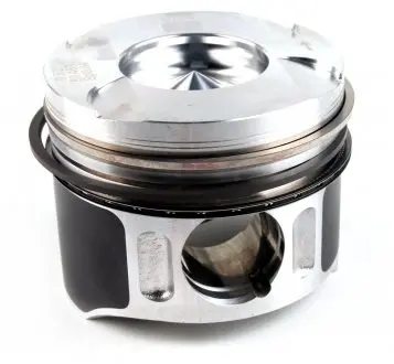 Поршень 0.50 NPR 130010001321