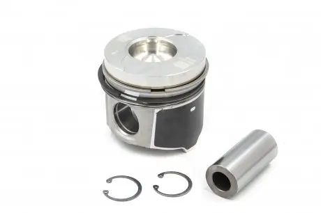 Поршень 0.50 NPR 130038002321