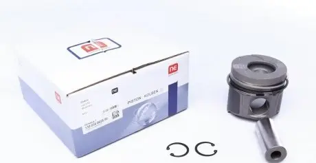 Поршень renault NPR 130 038 0028 00