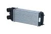Радіатор інтеркулера Citroen C2/C3/Peugeot 1007/207 1.6 HDi 05- NRF 30196 (0384J4, 0384N1, E256091) (фото 1)