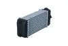 Радіатор інтеркулера Citroen C2/C3/Peugeot 1007/207 1.6 HDi 05- NRF 30196 (0384J4, 0384N1, E256091) (фото 2)
