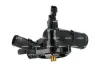 Термостат Renault Clio III 1.2 16V 05-14/Modus 1.2 04- NRF 725417 (8200400294) (фото 3)