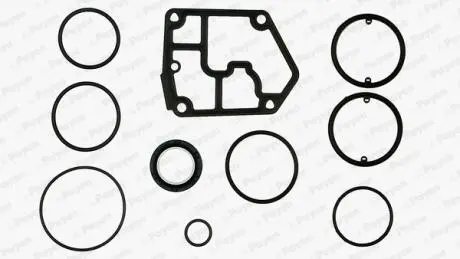 Комплект прокладок з різних матеріалів Payen EF5380