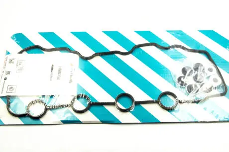 Комплект прокладок клапанной крышки Payen HM5398