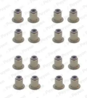 Сальник клапана Payen HR5122