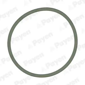 Прокладка колектора IN VAG 1.4 16V/1.6 16V (4) Payen JD5228