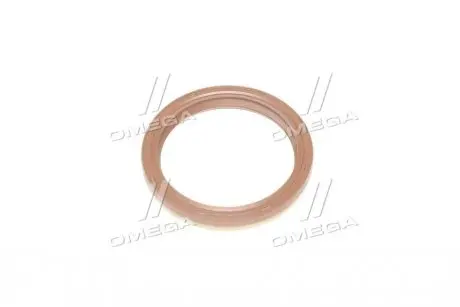 Ущільнююче кільце Payen NA5069