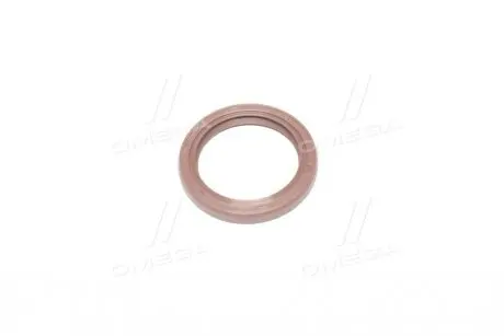 Ущільнююче кільце Payen NA5190