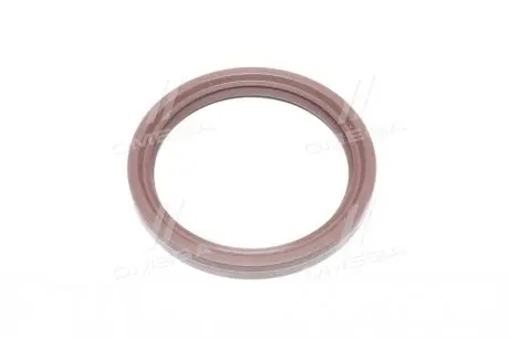 Ущільнююче кільце Payen NB698