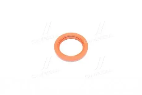 Ущільнююче кільце Payen NC006