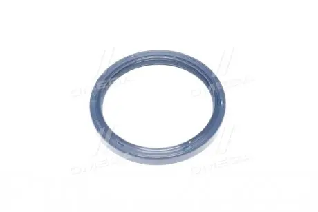 Ущільнююче кільце Payen NJ251