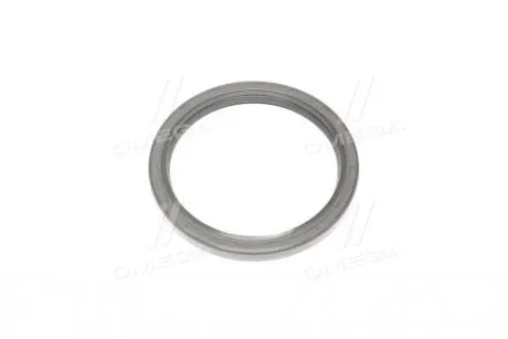 Ущільнююче кільце Payen NJ325