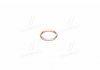 Кольцо металлическое Payen PA349 (фото 1)