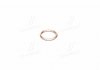 Кольцо металлическое Payen PA349 (фото 2)