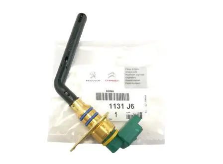 Датчик уровня масла Peugeot/Citroen 1131 J6