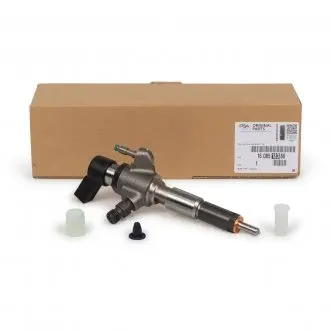 Паливна форсунка Peugeot/Citroen 1608518380