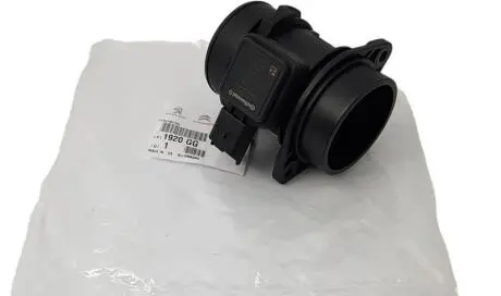 Расходомер воздуха 1.4 HDI Peugeot/Citroen 1920 GG