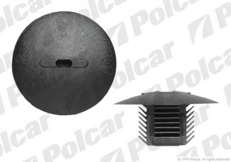 Пистон Polcar RXC60357 (фото 1)