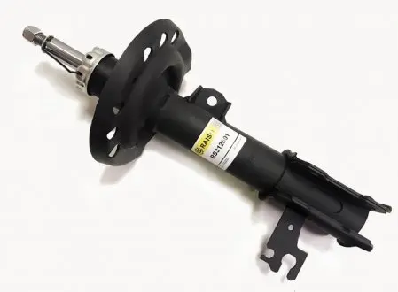 Амортизатор передний левый Fiat Croma,Opel Signum, Vectra C, Vectra C GTS 1.6-3.2 04.02- (газ.) RAISO RS312601