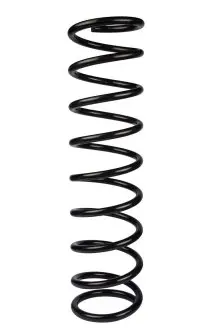 Пружина задня Lada 2102 (496*12,0*125) RAISO SR109TP