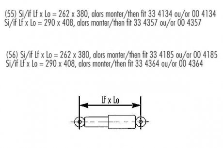 Амотризатор OIL задній ЦІНА за 1 шт.УПАК.по 2 шт.(лівий+правий) RECORD 004357 (фото 1)