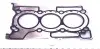 Комплект прокладок REINZ 02-10185-03 (101012042R, 132707588R) (фото 8)