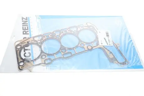 Комплект прокладок из различных материалов REINZ 08-10000-01