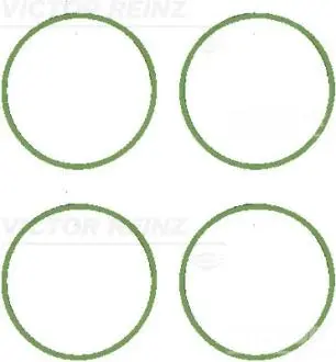 Комплект прокладок гумових REINZ 11-11071-01