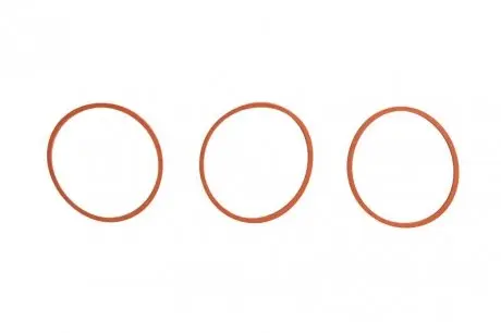 Комплект прокладок резиновых REINZ 11-11551-01