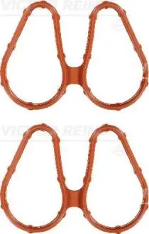 Прокладка коллектора REINZ 11-33448-01