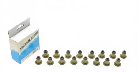 Комплект сальников клапанов REINZ 121013001