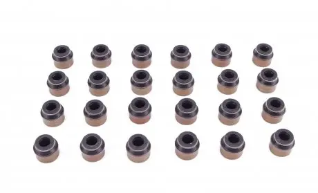 Комплект сальников клапанов REINZ 12-31306-05