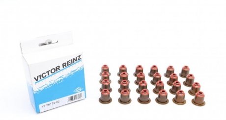 Комплект сальников клапанов REINZ 12-35172-02 (фото 1)