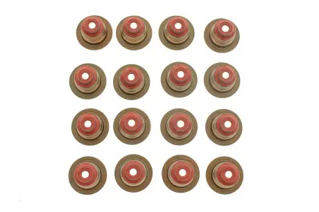 Комплект сальников клапанов REINZ 12-38209-02